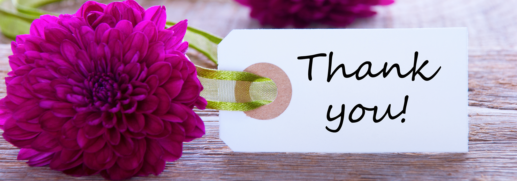 Thank You